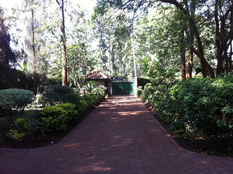 Milimani Backpackers Pansiyon Nairobi Dış mekan fotoğraf