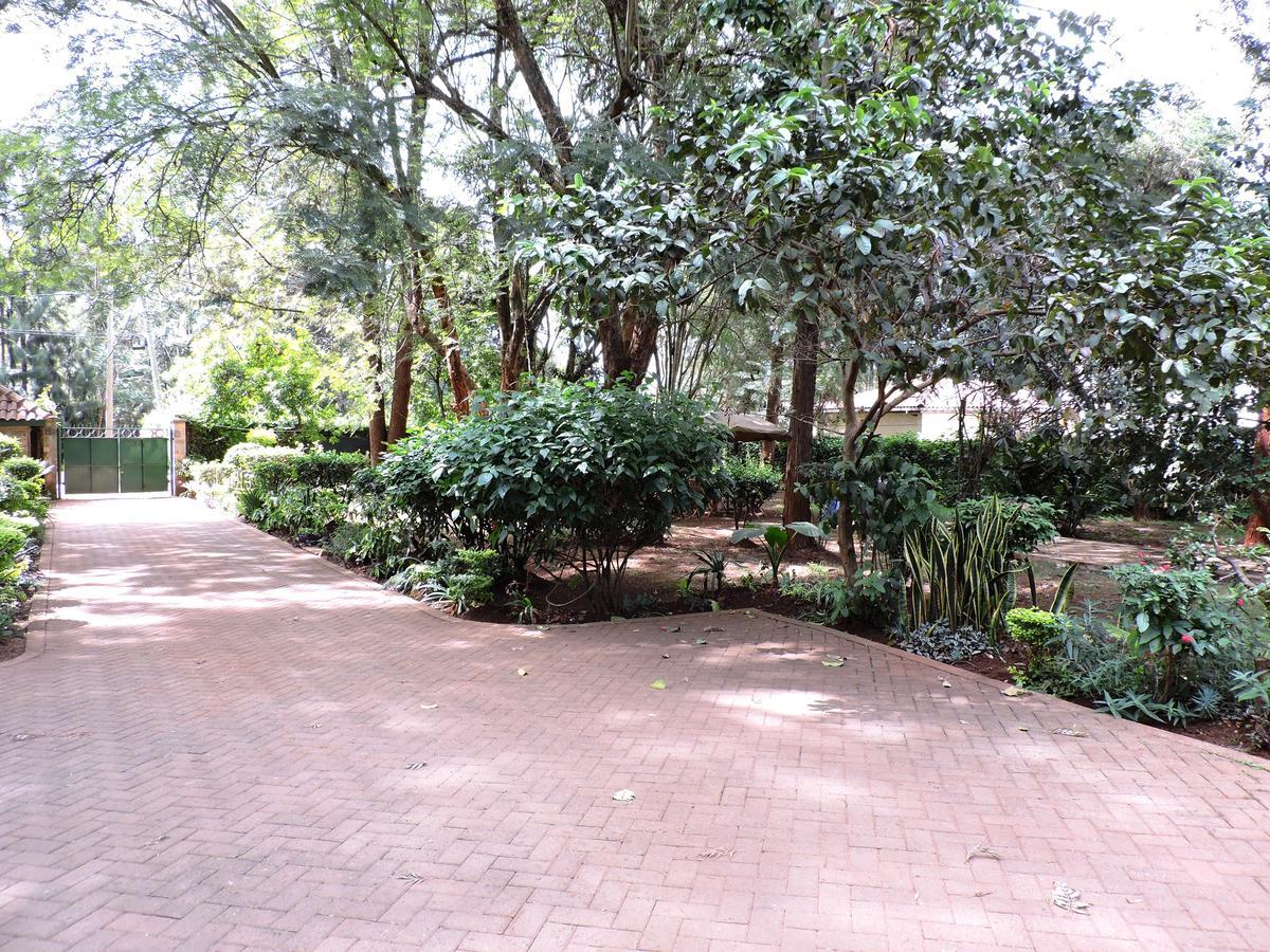 Milimani Backpackers Pansiyon Nairobi Dış mekan fotoğraf