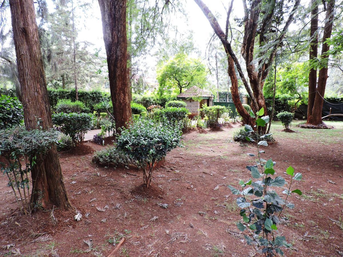 Milimani Backpackers Pansiyon Nairobi Dış mekan fotoğraf