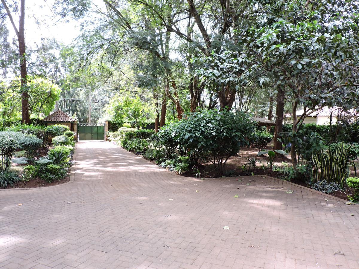 Milimani Backpackers Pansiyon Nairobi Dış mekan fotoğraf