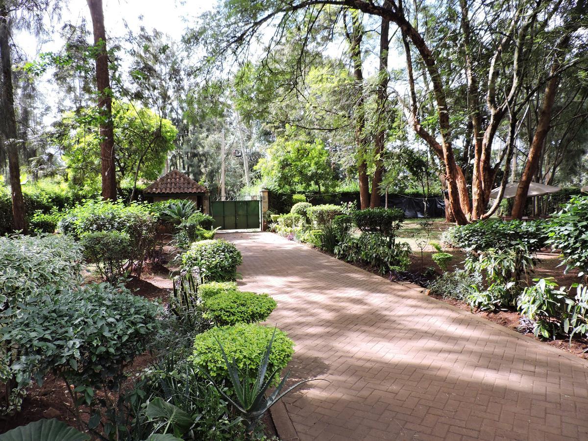 Milimani Backpackers Pansiyon Nairobi Dış mekan fotoğraf